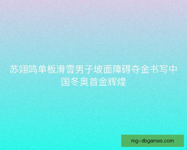 苏翊鸣单板滑雪男子坡面障碍夺金书写中国冬奥首金辉煌