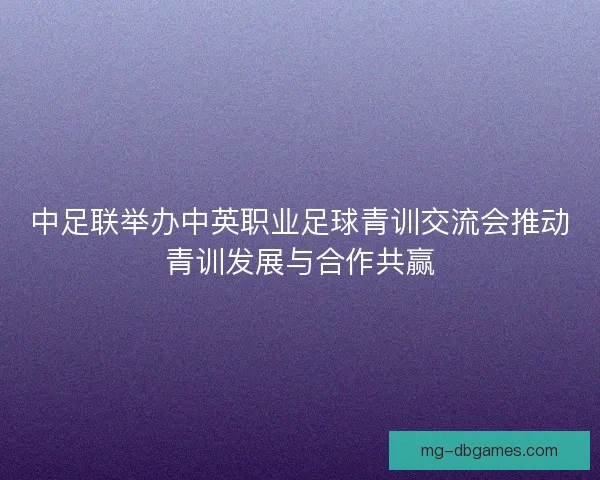 中足联举办中英职业足球青训交流会推动青训发展与合作共赢